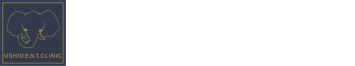 医療法人社団　建寿会　潮耳鼻咽喉科クリニック